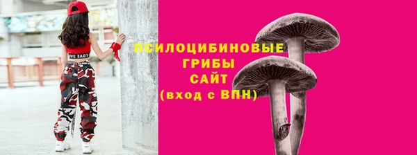 сатива Алексеевка
