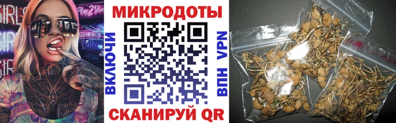 Псилоцибиновые грибы GOLDEN TEACHER Тюкалинск
